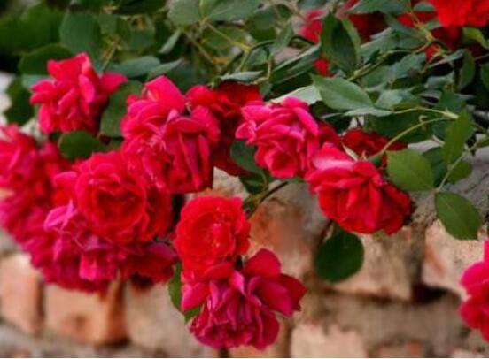 一、保温措施要到位