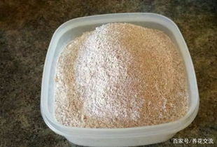 鸡蛋壳泡水，如何自制天然肥料
