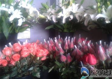 昆明玫瑰花的价格波动