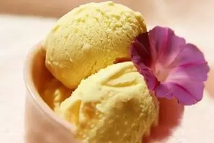 香草冰淇淋月季的香味与花期探秘