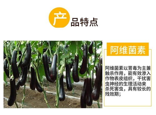 阿维菌素，如何使用？