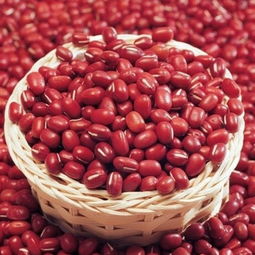 “花界红宝石：赤豆与红豆大揭秘！”