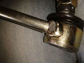 钢铁与树木：一场跨越生命的对话