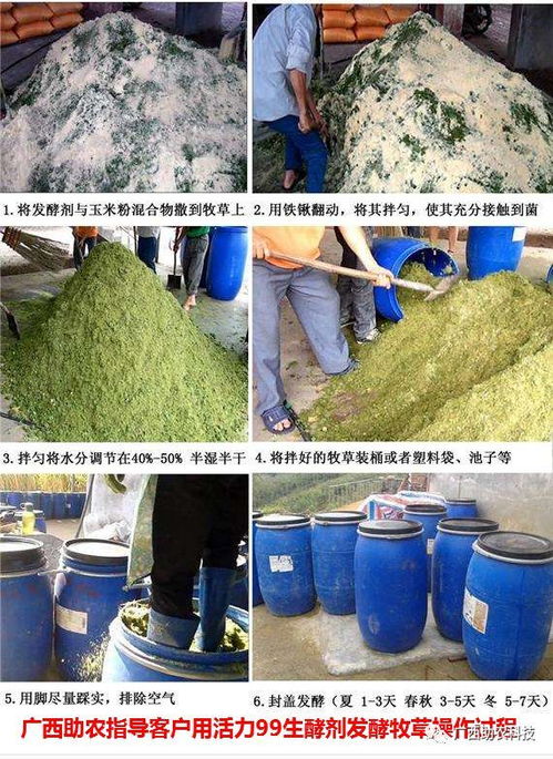猪饲料中添加哪些成分能显著降低成本并提高养殖效益？