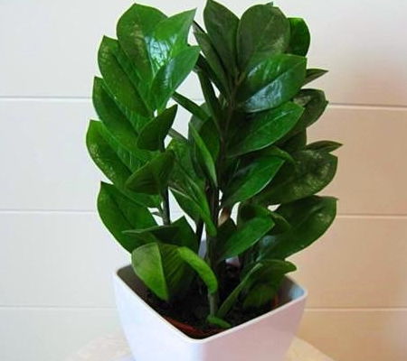 季节变化，深度也要变