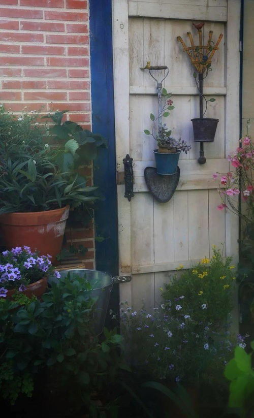 五、 王大妈的屋顶花园秘籍