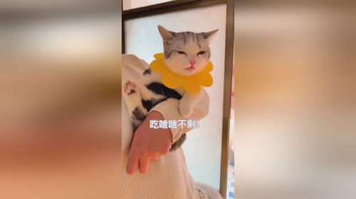 碧光环长大后你还喜欢它吗