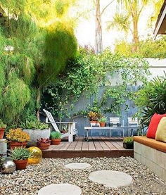 小院子大风景：紫藤花打造浪漫空间