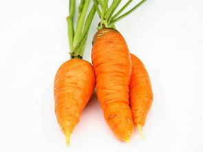 胡萝卜：健康生活的必备