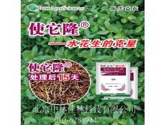 果园杂草防治之“使它隆”除草剂大揭秘