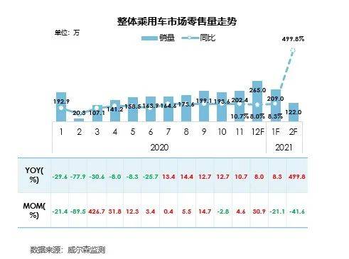 揭秘广西茶油籽价格，洞察市场趋势！