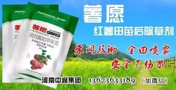 赤霉素处理雪松种子的隐患揭秘