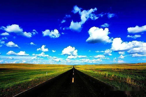 草原退化，草场如何选种快速修复？