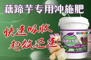 草甘膦的药害，你了解多少？