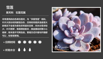 骨髓移植捐献者需要住院多长时间