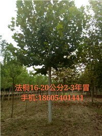 科学管理，成活率有保障