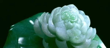 莲花：出淤泥而不染， 濯清涟而不妖