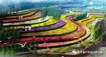 花海里的秘密基地