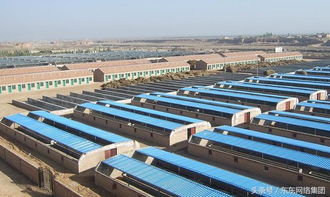 农业养殖设备设计规范，助力规模养殖场高效运营