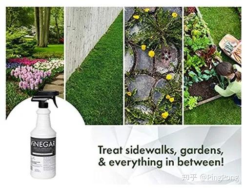 如何正确使用三叶草除草剂