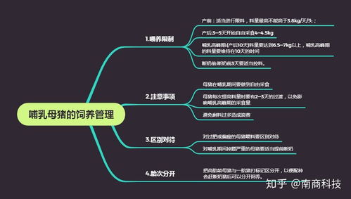 养好哺乳母猪，关键点有哪些