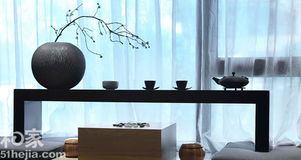 植物要选对，四季常青