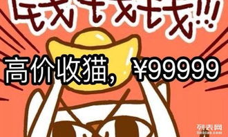 2025年上门收猫服务靠哪些平台？宠物回收服务真相！