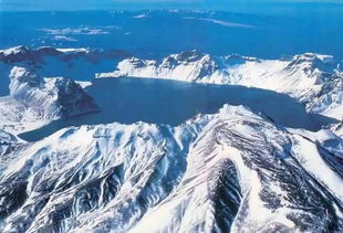 长白山地区产的长白参有哪些独特特点和价值