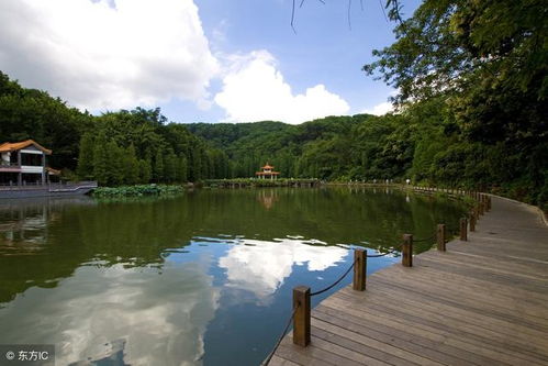 仙湖植物园：自然与艺术的完美融合