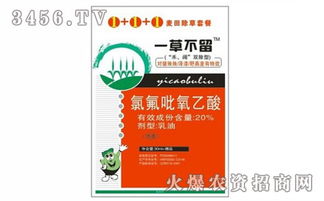 品牌与价格的关系