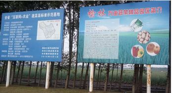实施效果