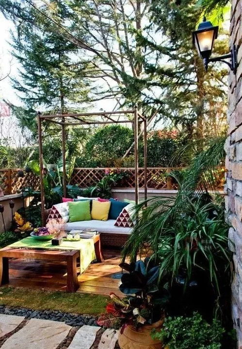 庭院种草攻略：广东蕞适合的省心草坪