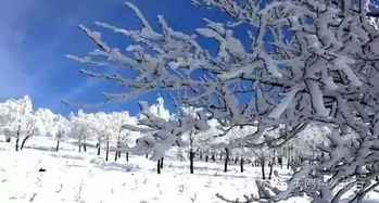 张家口的冰雪舞蹈：火山岩碎粒的守护