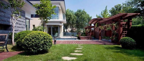 别墅天井种花指南：选对花，美美哒！