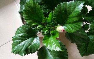 冬季浇水，讲究时机和频率