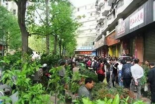 长沙汽车南站的便捷之路