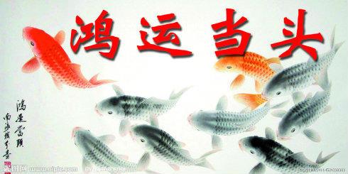 鸿运当头，探究幸运与成功的关系