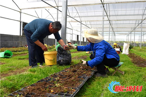 退伍军人， 不忘初心，服务家乡