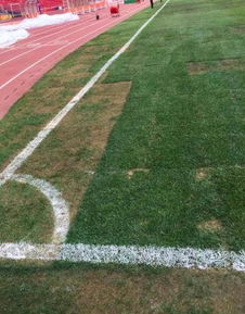 选对草皮：适合你的，才是Zui好的