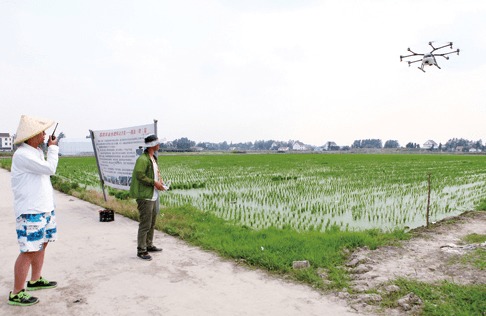 减少农药的用药剂量