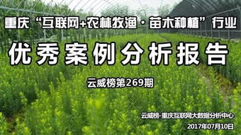 洗牌过后 优质苗木市场前景