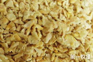 豆粕价格波动下棉粕与豆粕在饲料中的价值差异如何体现？