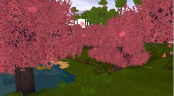 星辰花种植还是简单的