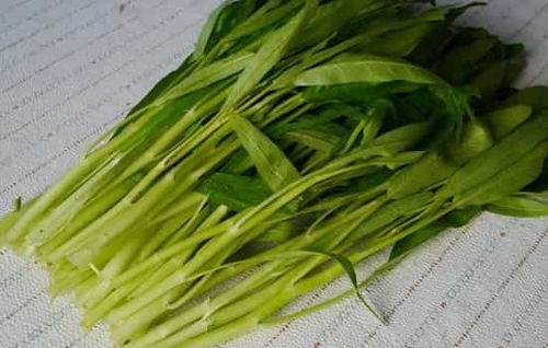 空心菜发黄怎么办
