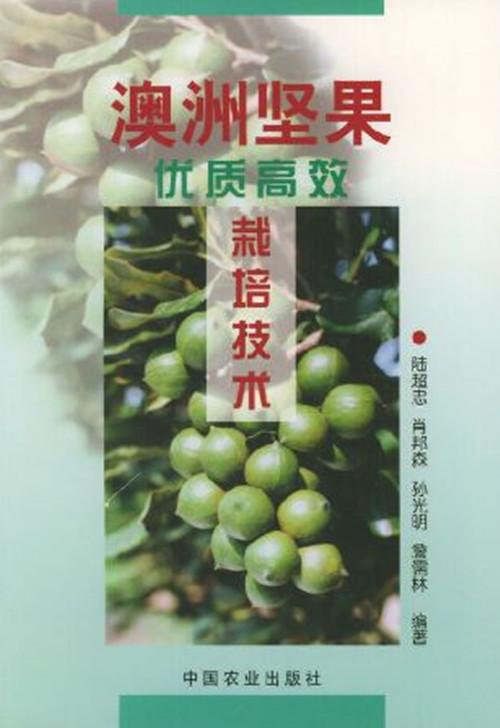 澳洲松高效培育技术
