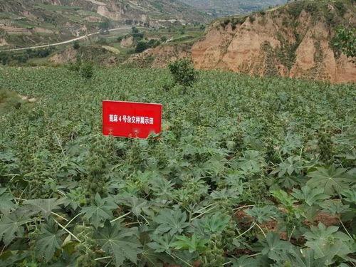 如何同过正规渠道避免购买陷阱