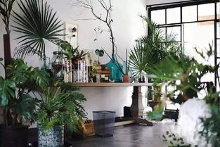 养花还嫩增进邻里感情