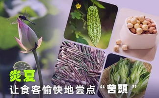 导读：杏核种植的奥秘大揭秘