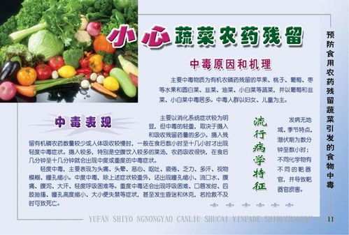 为什么发霉食物会产生毒素，吃了会中毒，有哪些救命知识可以预防？