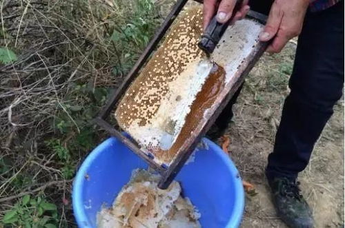 热水冲冲，真的能清除农药残留吗？